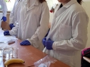 12biochemikuj28-04-2019