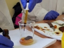 22biochemikuj28-04-2019