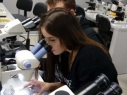 noc biologów