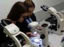 10_noc_biologow_2018_01_12