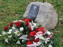 Photo9