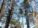 22zielona_szkola16-06-2022